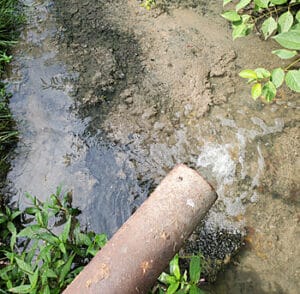 The wastewater treatment facility discharge pipe that empties into the Limestone Branch tributary